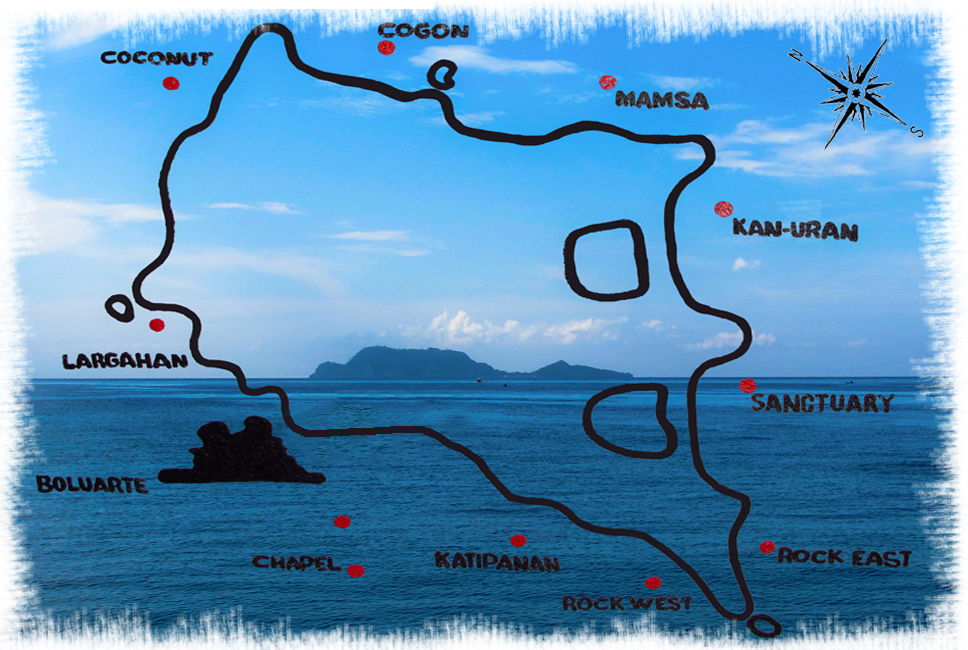 Apo Island Dive Sites