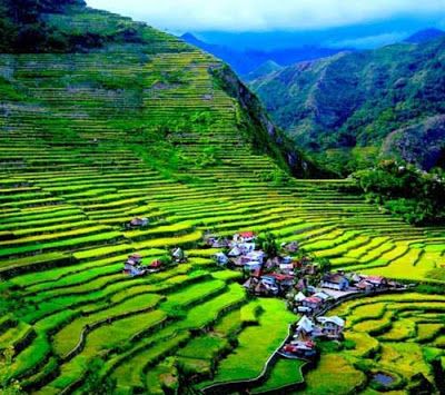 Banaue Rice Terraces